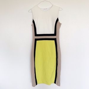 Calvin Klein Statement Dress